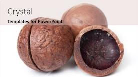  Presentation with nut - PPT theme having heap-of-macadamia-nut background and a soft green colored foreground