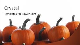  Presentation with halloween - Slide set having heap of many orange pumpkins isolated on white background halloween concept background and a white colored foreground