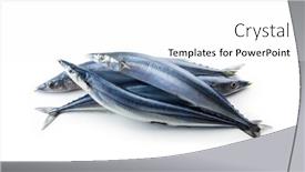  Presentation with pacific - Presentation with heap-of-nice-shaped-pacific background and a white colored foreground