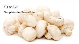  Presentation with champignon mushroom - Theme consisting of heap of of mushroom champignon background and a white colored foreground