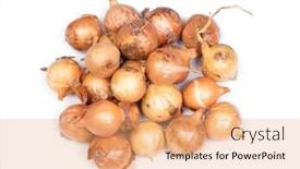  Presentation with 3d isolated t rex head - Presentation theme having heap-of-onion-isolated background and a coral colored foreground