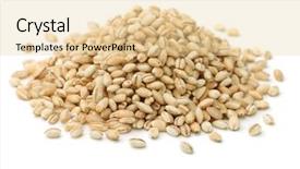  Presentation with pearl - Beautiful presentation theme featuring heap of pearl barley isolated backdrop and a lemonade colored foreground