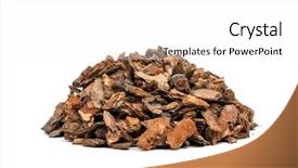 Presentation with pine - Presentation theme having heap of pine bark isolated background and a white colored foreground