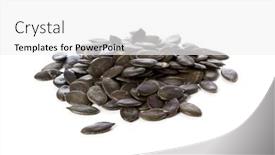  Presentation with seed - PPT theme with heap of pumpkin seed isolated on white background background and a white colored foreground