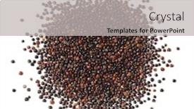  Presentation with quinoa - PPT layouts consisting of heap-of-raw-black-quinoa background and a light gray colored foreground