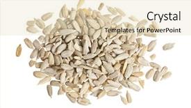  Presentation with seeds - Beautiful presentation theme featuring raw shelled sunflower seeds backdrop and a lemonade colored foreground