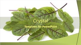  Presentation with leaves - PPT theme enhanced with heap-of-red-veined-sorrel background and a tawny brown colored foreground