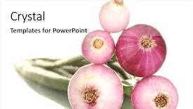  Presentation with red onion - Slide deck having heap of red young onion isolated on white background and a white colored foreground