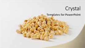  Presentation with peas - PPT layouts featuring fresh bean sprouts pile - heap of sprouted chick peas background and a white colored foreground