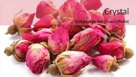  Presentation with roses - Presentation theme consisting of heap of tea roses isolated background and a red colored foreground