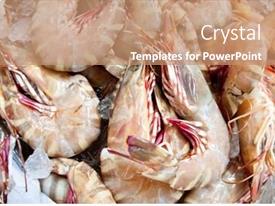 Heap Of Tiger Prawn PPT template 61 | CrystalGraphics