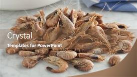  Presentation with kitchen - Presentation enhanced with heap-of-unpeeled-crangon-crangon background and a tawny brown colored foreground