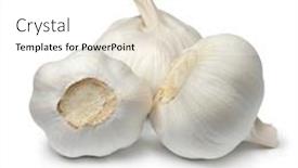  Presentation with garlic - Slide set with heap-of-white-whole-garlic background and a white colored foreground