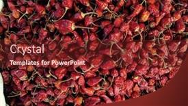  Presentation with red - PPT layouts with heap-of-whole-red-dried background and a tawny brown colored foreground