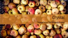  Presentation with aged - Cool new PPT layouts with heap of wrinkled aged apples backdrop and a gold colored foreground