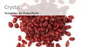  Presentation with barberries - PPT theme enhanced with heap-pf-dried-sour-iranian background and a white colored foreground