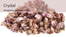  Presentation with bud - Cool new presentation design with heap pile of bud flower plum isolated on white background backdrop and a coral colored foreground