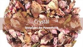  Presentation with bud - Presentation theme with heap pile of bud flower plum top view surface isolated on white background background and a red colored foreground