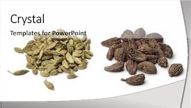  Presentation with cardamom - Colorful slide deck enhanced with heaps of green and large black cardamom seeds on white background backdrop and a white colored foreground