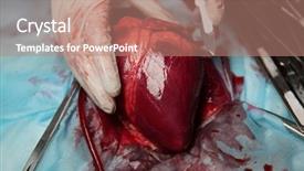  Presentation with human heart - Beautiful PPT theme featuring heart and medical tools backdrop and a coral colored foreground