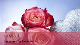  Presentation with valentine - 