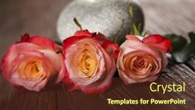  Presentation with valentine - 