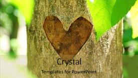  Presentation with heart - Amazing presentation design having heart carved in tree close backdrop and a gold colored foreground