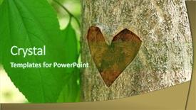  Presentation with heart shape tree - Beautiful slide set featuring heart carved in tree close backdrop and a  colored foreground