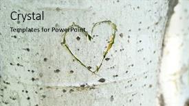  Presentation with heart - Presentation with heart carved in tree close background and a light gray colored foreground