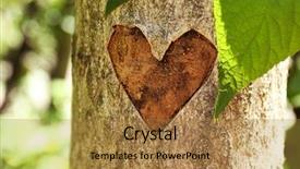  Presentation with heart shape from natural tree - Presentation design consisting of heart carved in tree close background and a coral colored foreground