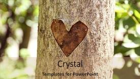  Presentation with heart shape from natural tree - Audience pleasing presentation theme consisting of heart carved in tree close backdrop and a coral colored foreground