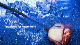  Presentation with blue rose - PPT theme enhanced with pink flower water droplets - heart from ice with rose background and a cobalt blue colored foreground