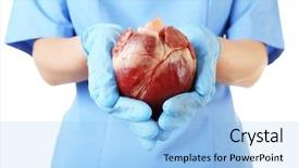  Presentation with heart in hands - Presentation theme enhanced with heart in doctor hands isolated background and a light blue colored foreground