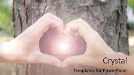  Presentation with human heart - Slide set consisting of heart in front of tree background and a coral colored foreground