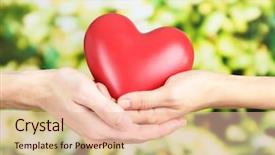  Presentation with heart in hands - Beautiful PPT theme featuring heart in hands on nature backdrop and a  colored foreground