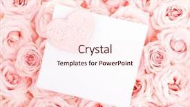  Presentation with pink rose - Presentation having pink fresh roses background background and a lemonade colored foreground