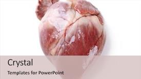  Presentation with white dove heart - Colorful presentation design enhanced with heart isolated on white backdrop and a soft green colored foreground