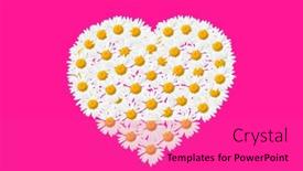  Presentation with birthday invitation - Slides enhanced with heart-made-of-white-daisy background and a coral colored foreground