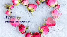  Presentation with pink roses - Beautiful presentation theme featuring heart of beautiful pink dried backdrop and a sky blue colored foreground