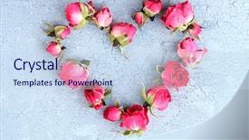  Presentation with heart and roses - Presentation consisting of heart of beautiful pink dried background and a sky blue colored foreground