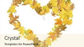  Presentation with leaves - Theme enhanced with heart of different leaves isolated background and a blonde colored foreground