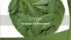  Presentation with green leaves - Presentation design consisting of heart-of-fresh-green-bay background and a tawny brown colored foreground