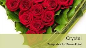  Presentation with roses - 