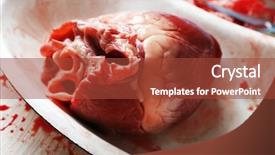  Presentation with heart medical - Colorful presentation enhanced with heart organ in medical metal backdrop and a red colored foreground