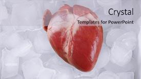  Presentation with human heart - Presentation design featuring heart organ with ice close background and a light gray colored foreground