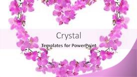  Presentation with heart flowers - Beautiful slide deck featuring heart shape frame from pink orchid flowers isolated on white background backdrop and a lavender colored foreground