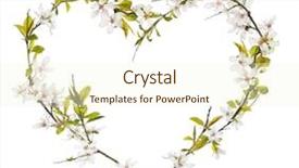  Presentation with heart shape tree - Audience pleasing presentation design consisting of heart shape from cherry tree backdrop and a cream colored foreground