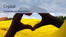  Presentation with rapeseed - Slide set consisting of heart shape in rapeseed background and a light blue colored foreground