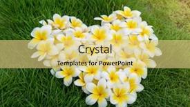  Presentation with heart shape tree - Beautiful presentation featuring heart shape of plumeria backdrop and a yellow colored foreground