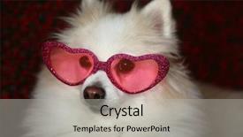  Presentation with shape heart - Presentation design with heart shape valentines day sunglasses background and a light gray colored foreground